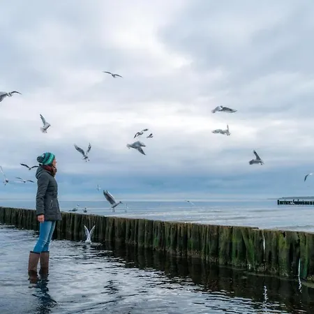 Goosbrink Whg 19 * בולטנהאגן