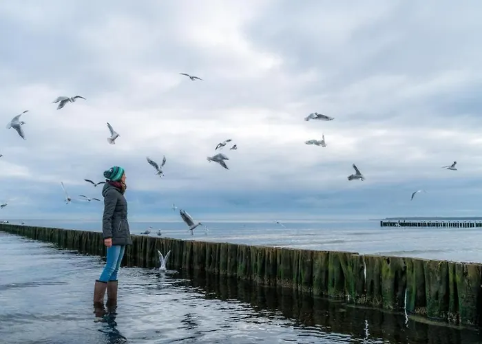 Goosbrink Whg 19 * Boltenhagen (Ostseebad)